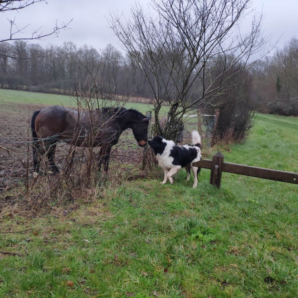 S'heyden Du Val D'ormyne