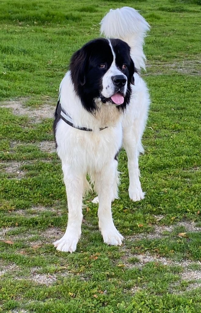 Socrates Du Val D'ormyne