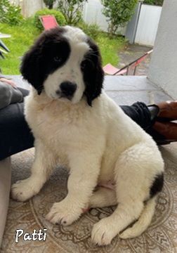 V'patti Du Val D'ormyne