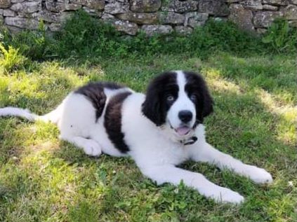 V'portos Du Val D'ormyne