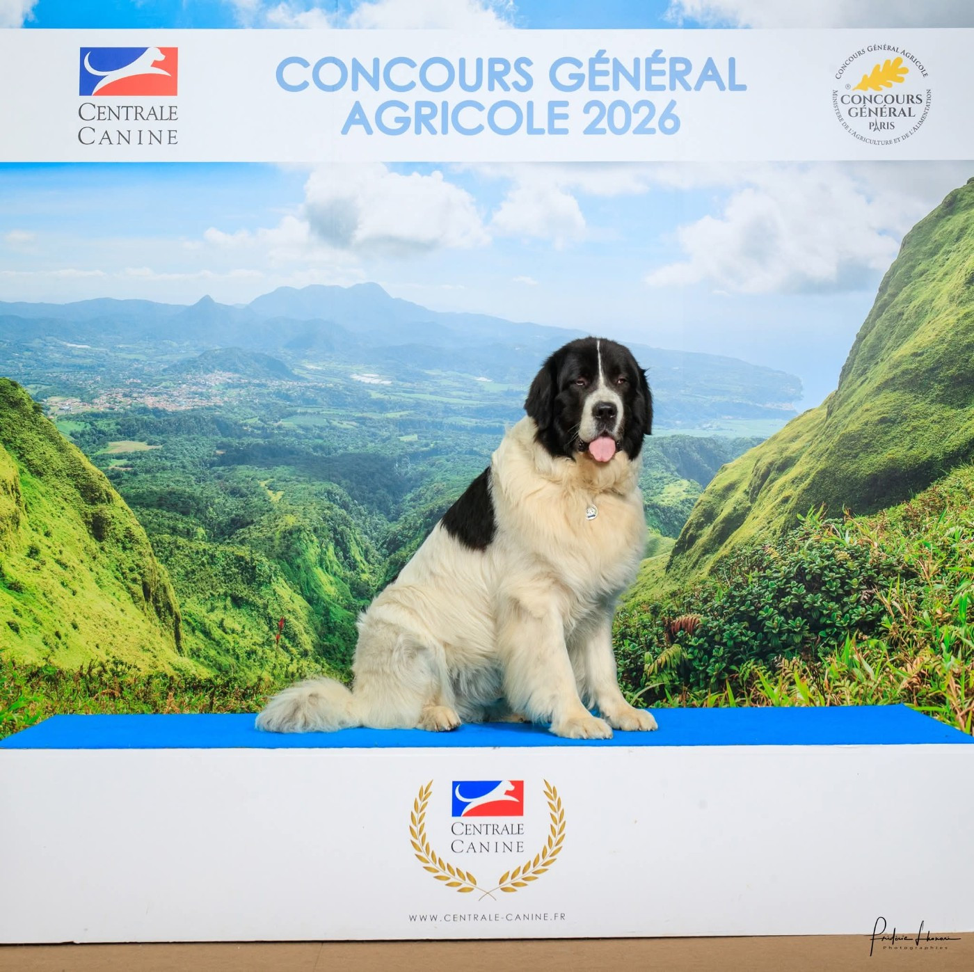 Teal'c du Val d'Ormyne au Salon de l'Agriculture de Paris ce 27 Février 2026